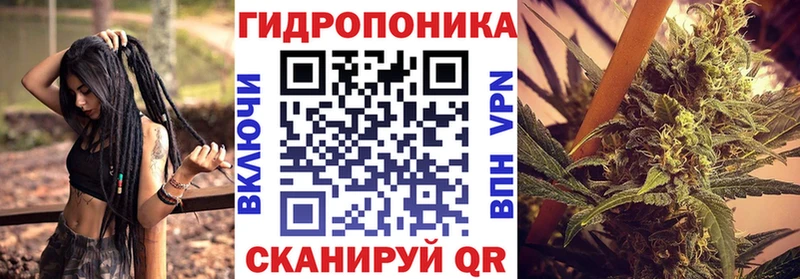 Шишки марихуана планчик  Исилькуль 